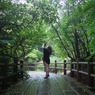 微笑み　翠の中で…