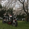 春