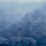 花雨