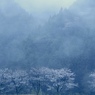 春の時間