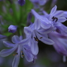 201006300129