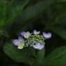 201006300131