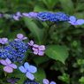 201006300132