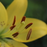 201006300137