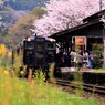嘉例川駅の春の訪れ