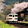 JR肥薩線嘉例川駅の春3