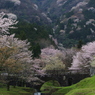 霞間ヶ渓の春
