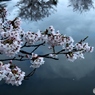 夕暮れ