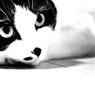 so,what??