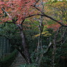 常寂なう