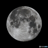 月齢14.0 満月 十五夜 