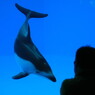 綺麗に撮ってよ