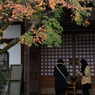格子戸なう