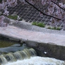 川の流れ