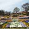 智光山公園3