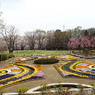 花壇2
