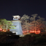 真田の遺構Ⅵ