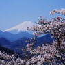 旅写真　富士山