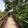 いい雰囲気の山道
