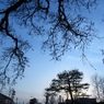 夕暮れ時