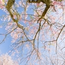 春空模様