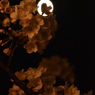 月花