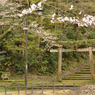 古い鳥居