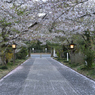 参道