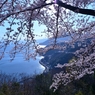 近江隠れ里菅浦の春