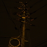 IMGP3905