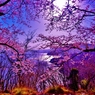 春幻想