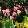 s-DSC_0429