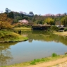 彦根城大名庭園