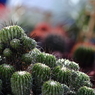 神代植物公園にて