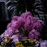 2017.4.20 朝  池袋→新大久保 001