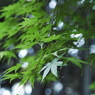 春４