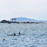 江の島