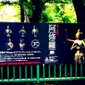 興福寺の八部衆、厳かでした