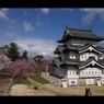 2017桜8