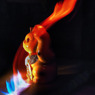 Cat punch  /Light painting