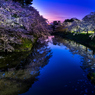 夜の弘前公園 III