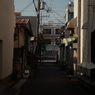 IMG_8781