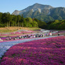 羊山公園 (2)