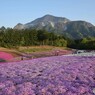 羊山公園 (3)