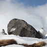 立山にいつまでも