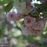 Industar50 50mm F3.5 沈胴式
