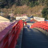 館橋なう