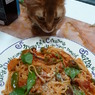 イタリアンな猫
