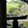 法多山・本殿裏。