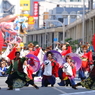 AOMORI春フェス 2017 V